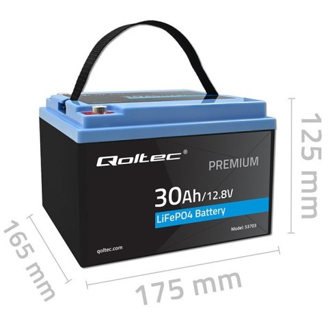 Akumulator LiFePO4 Litowo-Żelazowo-Fosforanowy 12.8V 30Ah 384Wh BMS
