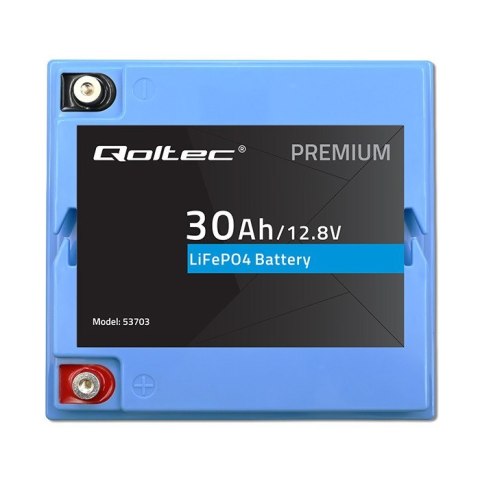 Akumulator LiFePO4 Litowo-Żelazowo-Fosforanowy 12.8V 30Ah 384Wh BMS