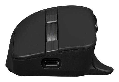 ASUS MD301 ProArt Maus wireless 8000dpi schwarz