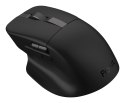 ASUS MD301 ProArt Maus wireless 8000dpi schwarz