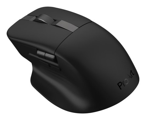 ASUS MD301 ProArt Maus wireless 8000dpi schwarz