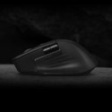 ASUS MD301 ProArt Maus wireless 8000dpi schwarz