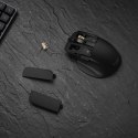 ASUS MD301 ProArt Maus wireless 8000dpi schwarz