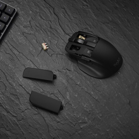 ASUS MD301 ProArt Maus wireless 8000dpi schwarz