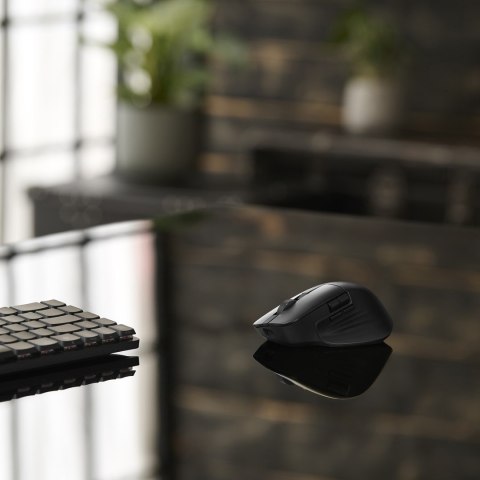 ASUS MD301 ProArt Maus wireless 8000dpi schwarz