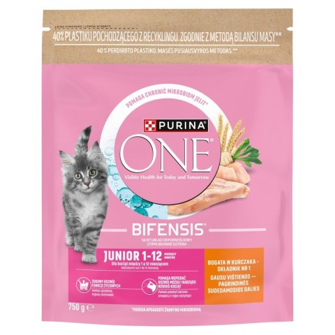 Purina ONE JR Bogata w Kurczaka i Pełne Ziarna 750g