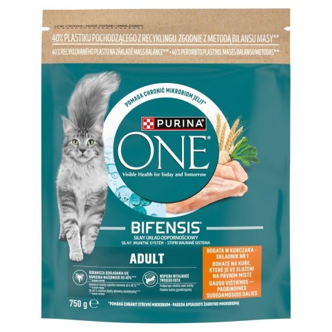 Purina One Mini Active bogata w kurczak z ryż 750g