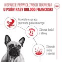 Royal Canin French Bulldog Adult mokra karma dla psów pasztet 12x85g