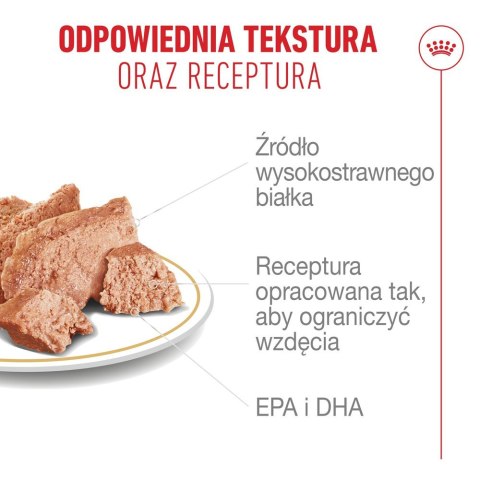 Royal Canin French Bulldog Adult mokra karma dla psów pasztet 12x85g