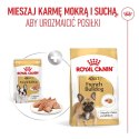 Royal Canin French Bulldog Adult mokra karma dla psów pasztet 12x85g