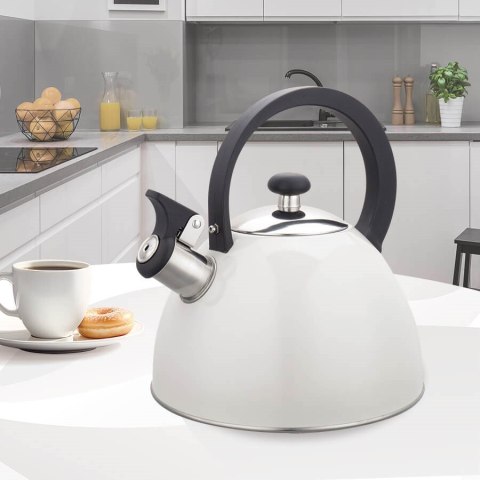 Czajnik nieelektryczny 2,5L MR-1302-WG MAESTRO