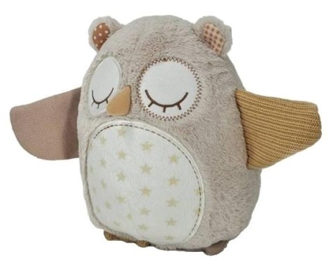 ND19_CLNO-8524-OW Cloud b® Nighty Night Owl Smart Sensor™ - Sowa - Pozytywka CLOUD B