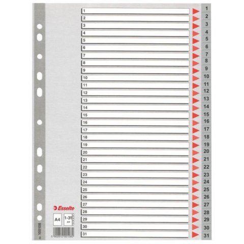ND39_127357 PRZEKLADKA A4 PP ESS 1-31 NUM POP 100108 FOL ESSELTE