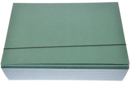 ND39_278473 TECZKA Z GUMKA A4 SKRZYD 90MM ZIE /8 KAKADO-DELFIN