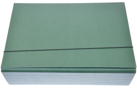 ND39_278473 TECZKA Z GUMKA A4 SKRZYD 90MM ZIE /8 KAKADO-DELFIN