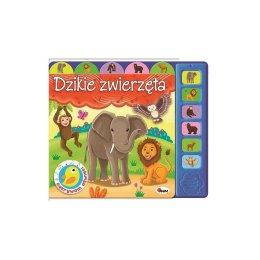 ND35_MO076-0 ODKR. DŹWIĘKI DZIKIE ZWIERZĘTA MOREX