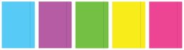 ND39_347699 TECZKA Z GUMKA PAP A3 FLUO MIX INT FOL A 10 INTERDRUK