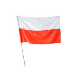 ND39_412643 FLAGA POLSKI 1100X680 NA DRZEWCU 5758 POLSKI