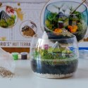 !!! CLE Harry Potter Terrarium 19248 CLEMENTONI