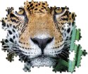!!! CLE puzzle 500 HQ Jaguar in the Jungle 35127 JAGUAR