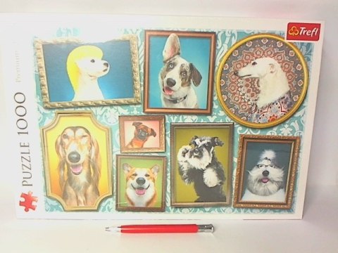 PUZZLE 1000 Psia Galeria 10686 GALERIA