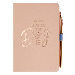ND39_502017 NOTES 110X165 DLUG GOLD R STK PB 6/48 TRES