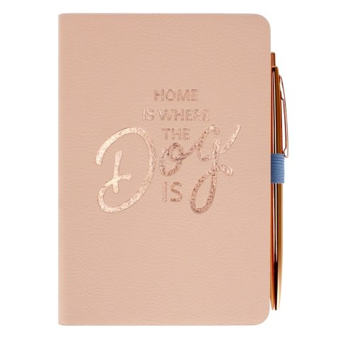 ND39_502017 NOTES 110X165 DLUG GOLD R STK PB 6/48 TRES