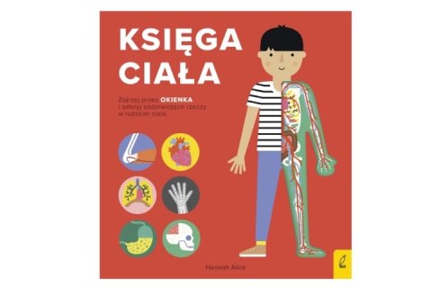 Encyklopedia z folią Księga ciała 90613 FOKSAL