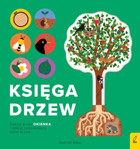 Encyklopedia z folią Księga drzew 90620 FOKSAL