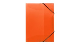ND39_520450 TECZKA Z GUMKA PP A4 NEON POM B-FOL FOL BIURFOL