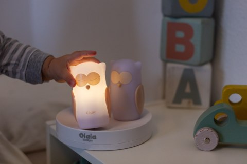 ND19_OLB-XY-GR-21 Zestaw 3 lampek nocnych LED - Ścieżka światła OLALA - Sowy OLALA