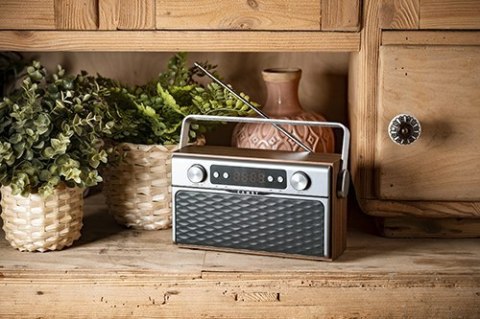 Camry Camry | CR 1183 | Radio Bluetooth | 16 W | AUX in | Drewniane