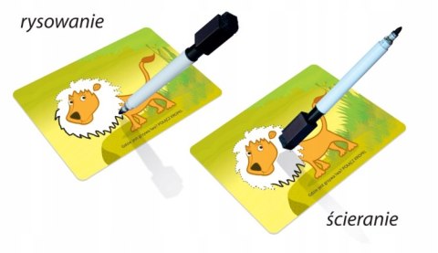 Zwierzątka rysowanie-zmazywanie 4 07411 ALEXANDER