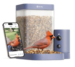Birdfy Feeder Rookie - karmnik dla ptaków z kamerą