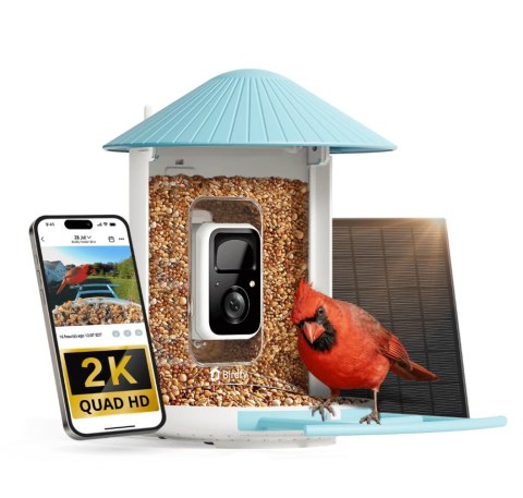 Birdfy Feeder AI - karmnik dla ptaków z kamerą i AI z rozpoznawaniem gatunków