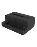 ICY BOX IB-2914MSCL-C31 USB 3.2 Gen 2 (3.1 Gen 2) Type-C Czarny
