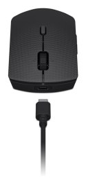 Lenovo Professional Bezprzewodowa ładowalna klawiatura i mysz combo | Zestaw klawiatury i myszy | Bezprzewodowy | Mysz w zestawi