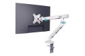 Digitus Pojedynczy uchwyt do monitora, 35", 10 kg