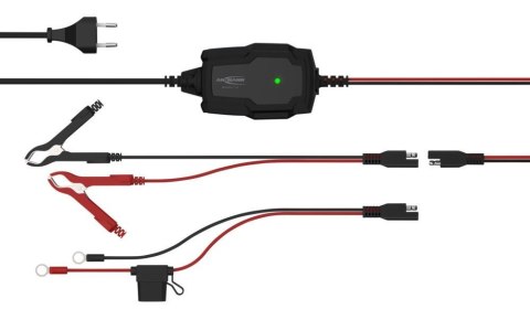 Ansmann 1001-0142 pojazd ładowarki 6 - 12 V Czarny