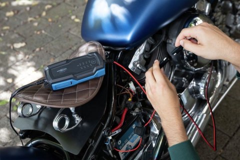 Ansmann 1001-0143 pojazd ładowarki 6 - 12 V Czarny