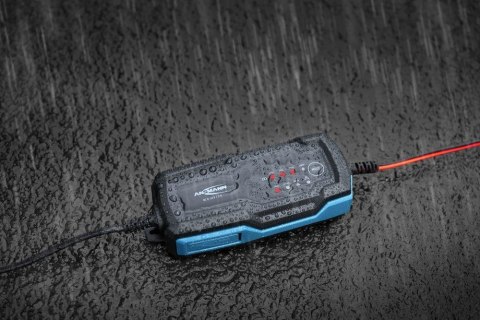 Ansmann 1001-0143 pojazd ładowarki 6 - 12 V Czarny