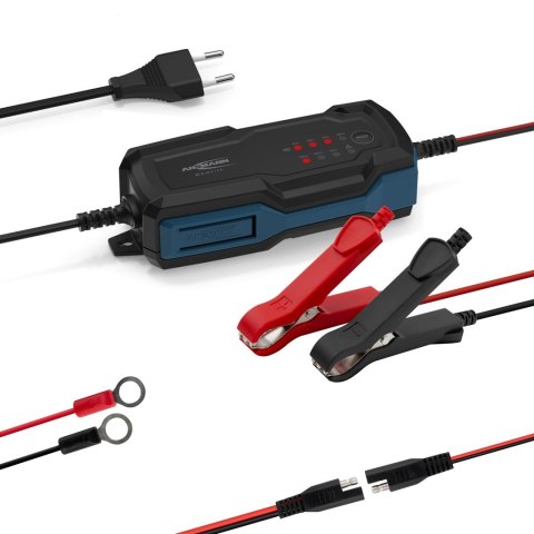 Ansmann 1001-0143 pojazd ładowarki 6 - 12 V Czarny