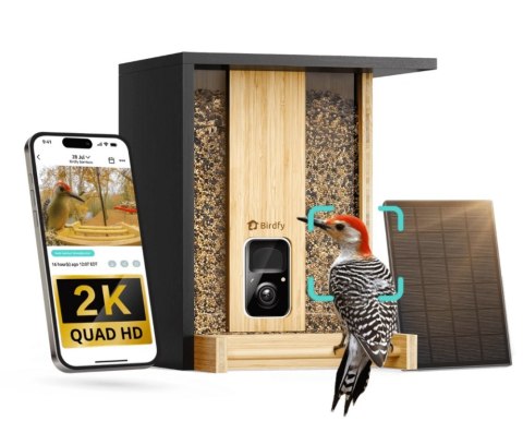 Birdfy Feeder Bamboo AI - karmnik dla ptaków z kamera i AI z rozpoznawaniem gatunków