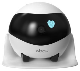 Robot towarzyszący ENABOT WH287301
