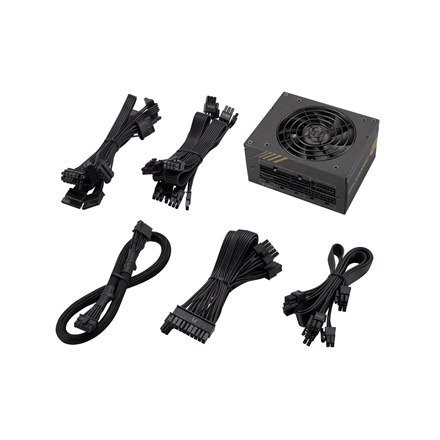 Fortron Fortron | SFX PSU | DAGGER PRO 850 | 850 W