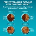 Purina ONE Sensitive Bogata w Indyka i Ryż 750g