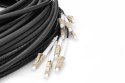 Digitus Zakończony fabrycznie uniwersalny kabel światłowodowy typu breakout, wielomodowy OM4, 12 włókien, LC/UPC - LC/UPC