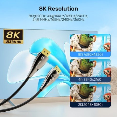 UNITEK C1631ABK01-30M kabel DisplayPort Czarny