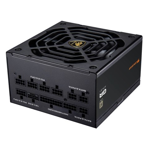 COUGAR CGRGDN-1000 moduł zasilaczy 1000 W 20+4 pin ATX ATX Czarny
