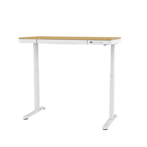 Activejet Biurko z elektryczną regulacją wysokości ET119S biały/dąb. Wymiar blatu 120x60 cm.